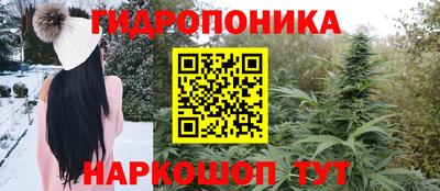 СК Рязань