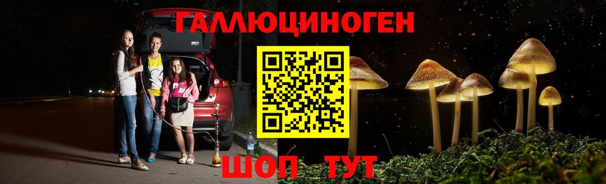 Галлюциногенные грибы GOLDEN TEACHER  Вход с VPN  Печора  Псилоцибиновые грибы GOLDEN TEACHER 