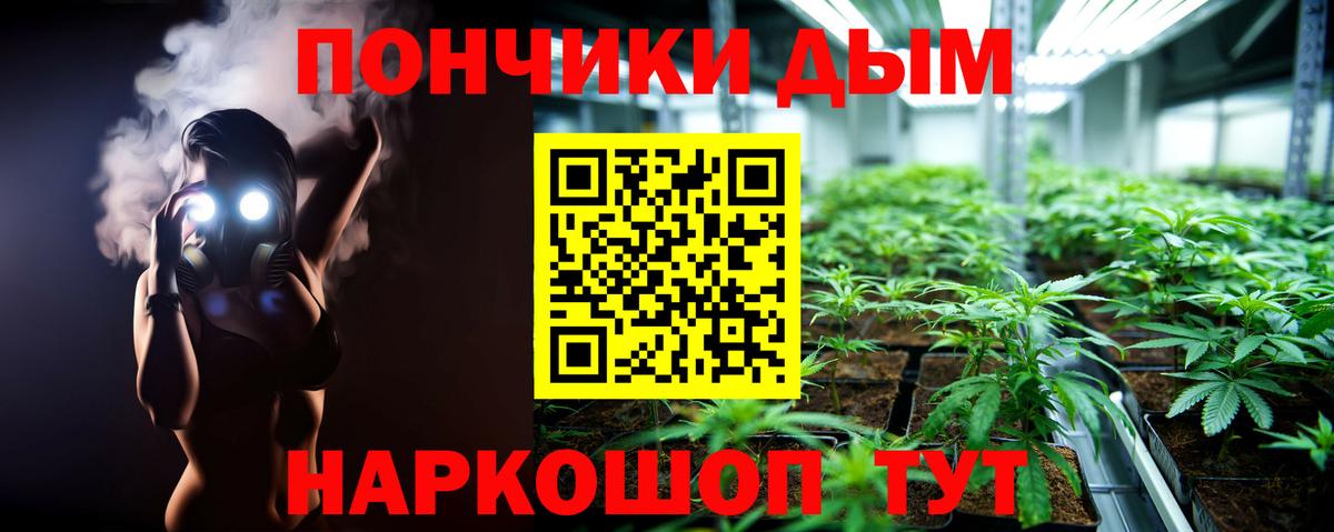 Бошки Шишки семена Печора